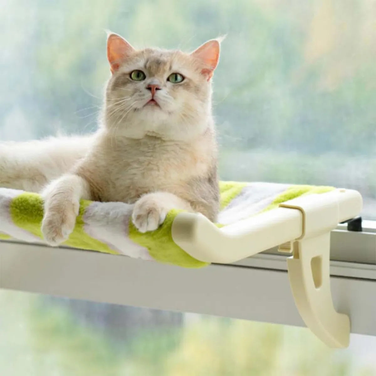 Super cama flotante para gato 🐱 + ENVIO GRATIS✅